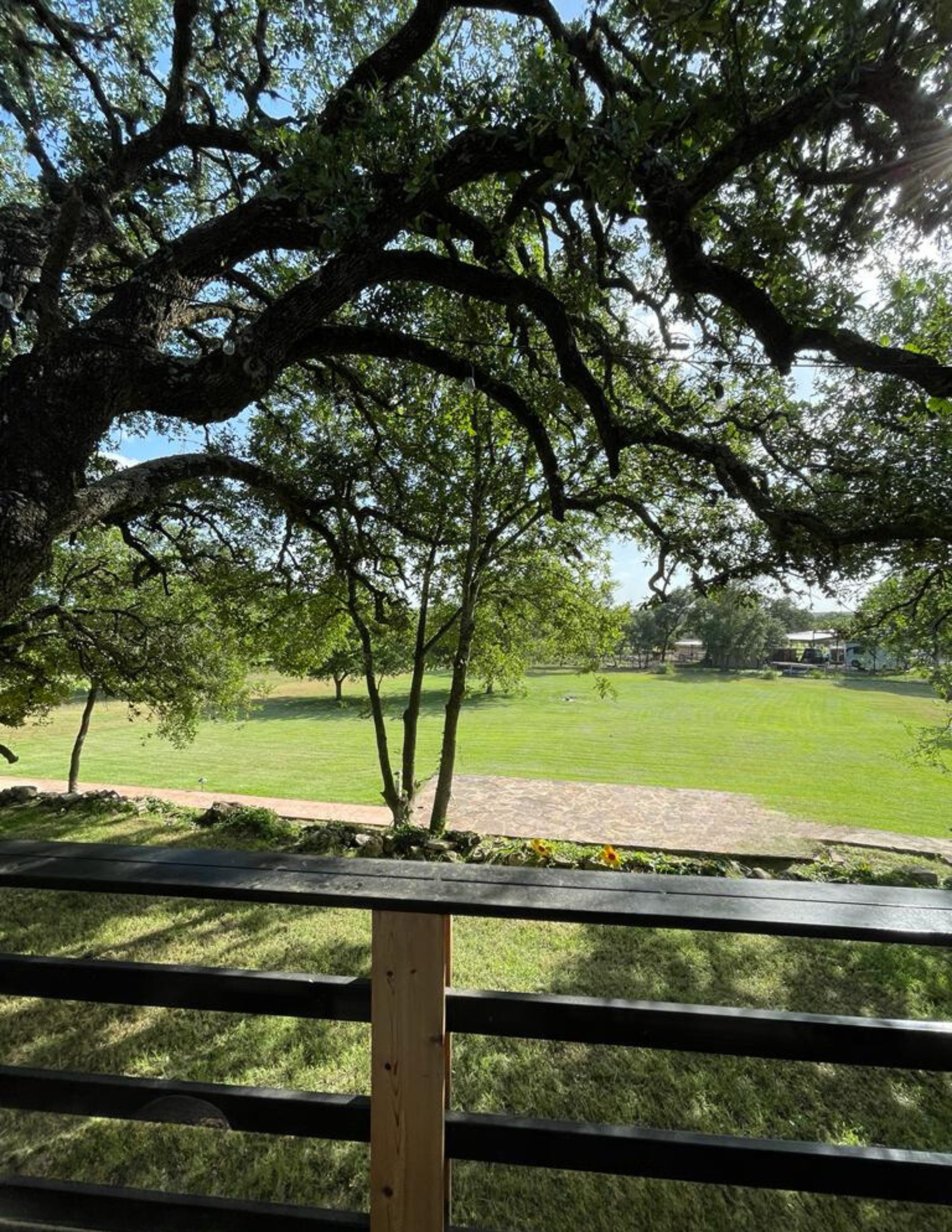 Large garden in wedding venue